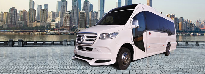 Ilesbus Vegas Minibus Übersicht